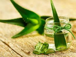 Aloe Vera Manicure Pedicure